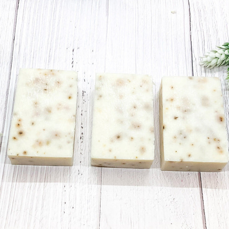 Spearmint Basil Body Scrub Sea Salt Oatmeal Exfoliant Refreshing Peppermint Leaves 8 Oz
